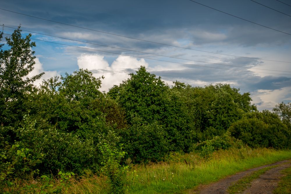 Фотография автора Елена Емельянова