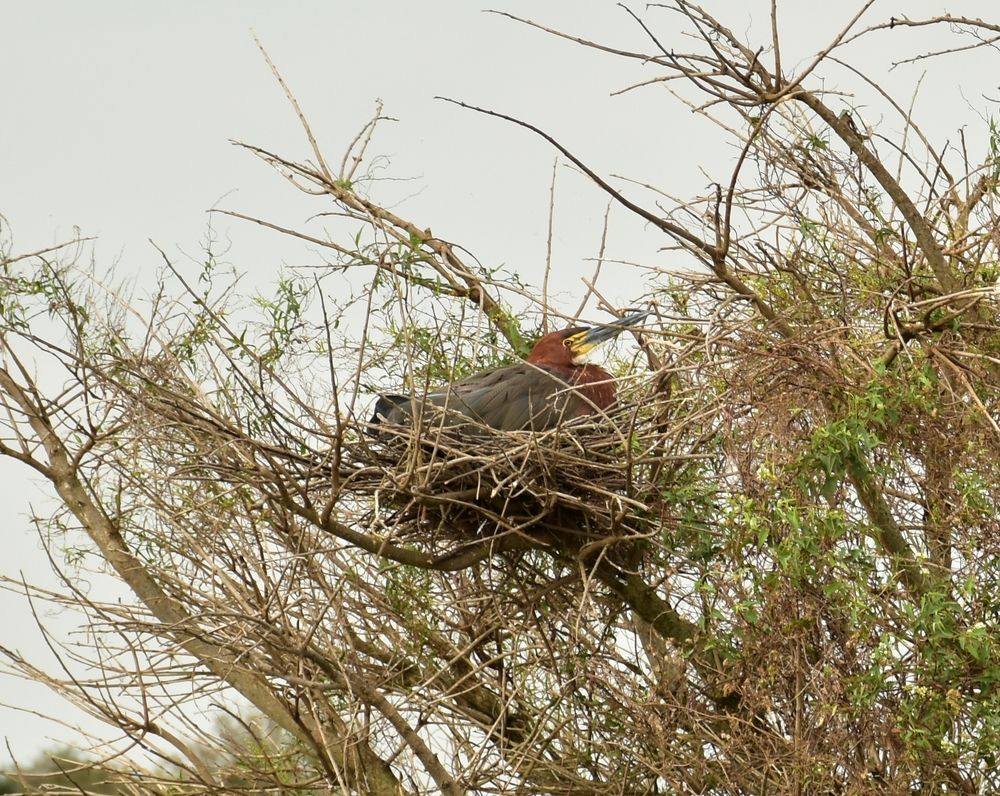 Photograph by SILVIA CLELIA AGOSTINIS