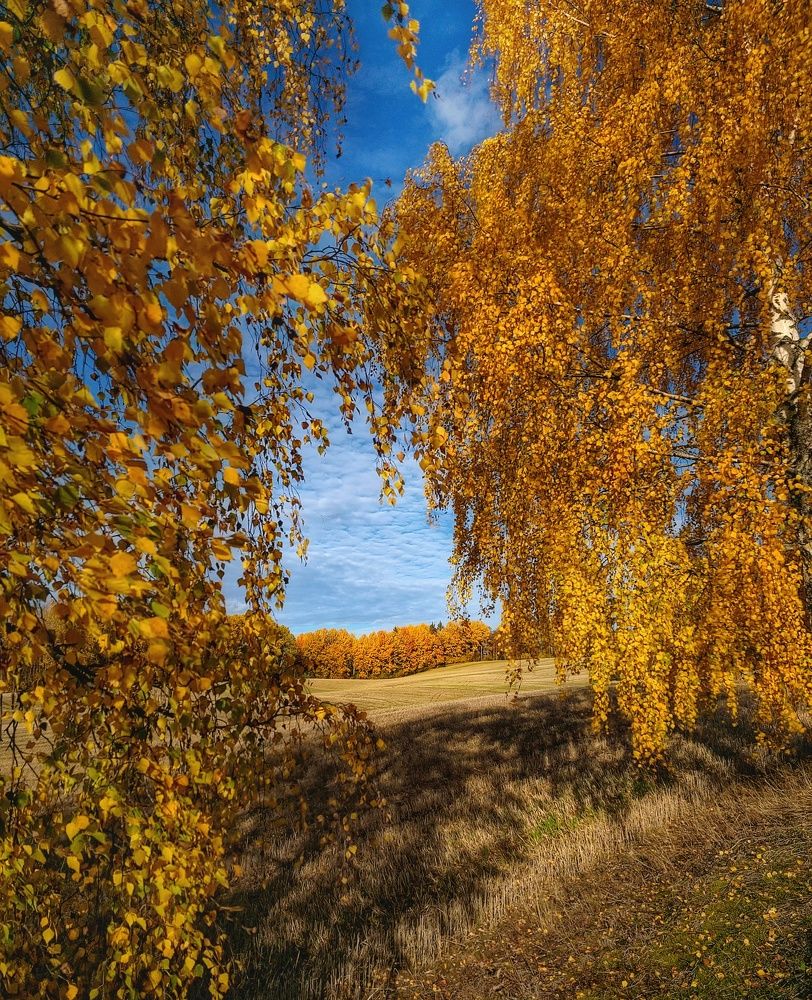 Фотография автора Alina Filimonova