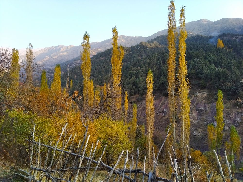 Фотография автора Van Gross