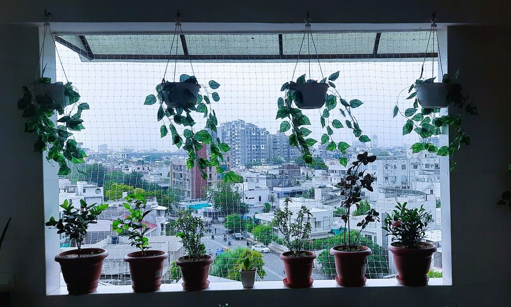 Photograph by Rajesh Sheth