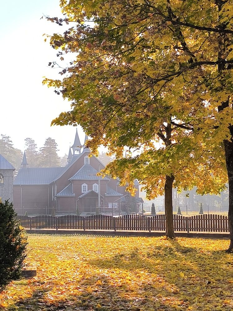 Photograph by КАТРИНА