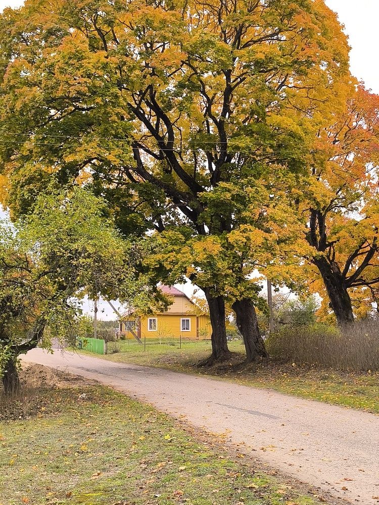 Photograph by КАТРИНА