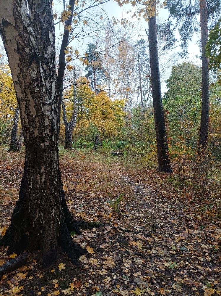 Photograph by Марина