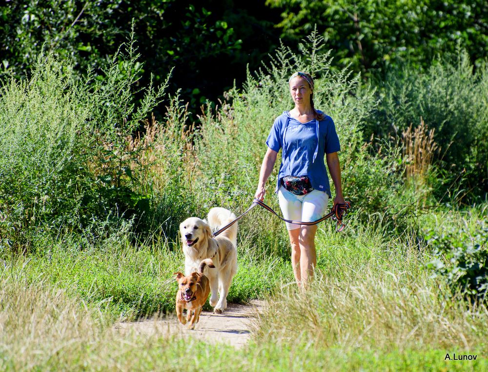 Трое вышли из леса.
