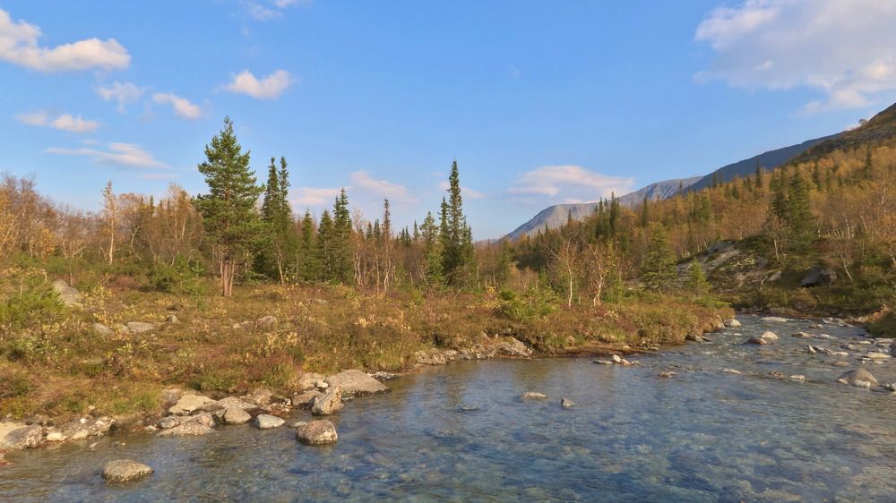 Ясные дни Севера