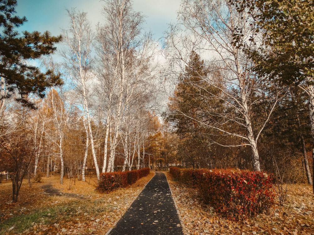 Photograph by Анжелика Трошина