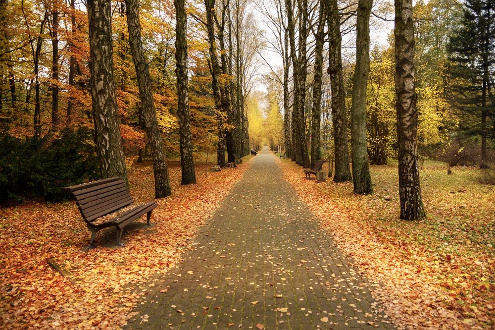 Photograph by Валерия Трейтяк