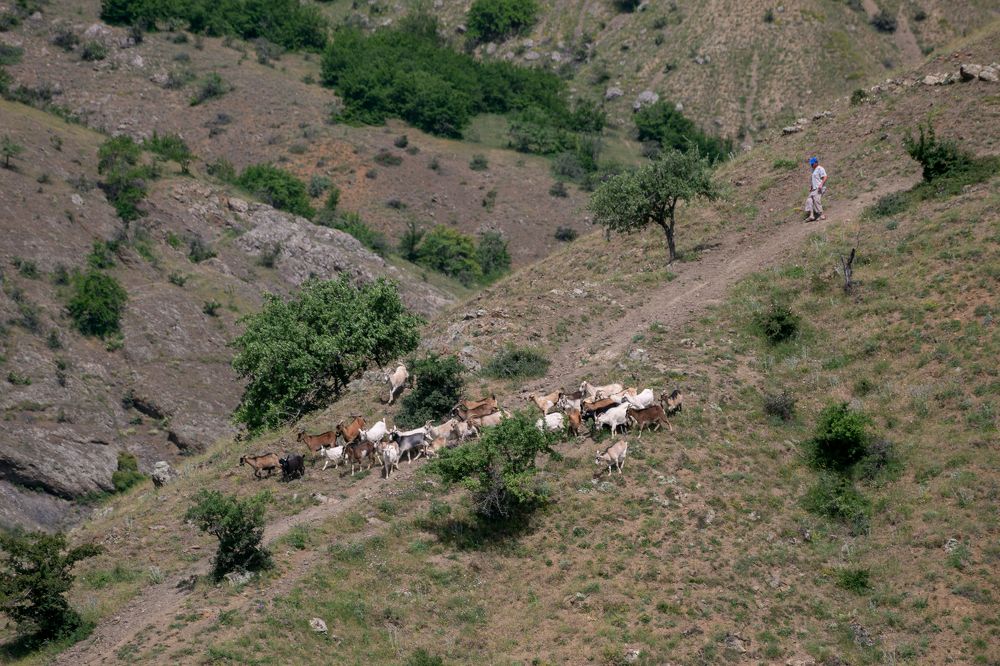 Photograph by Валерия Юдина