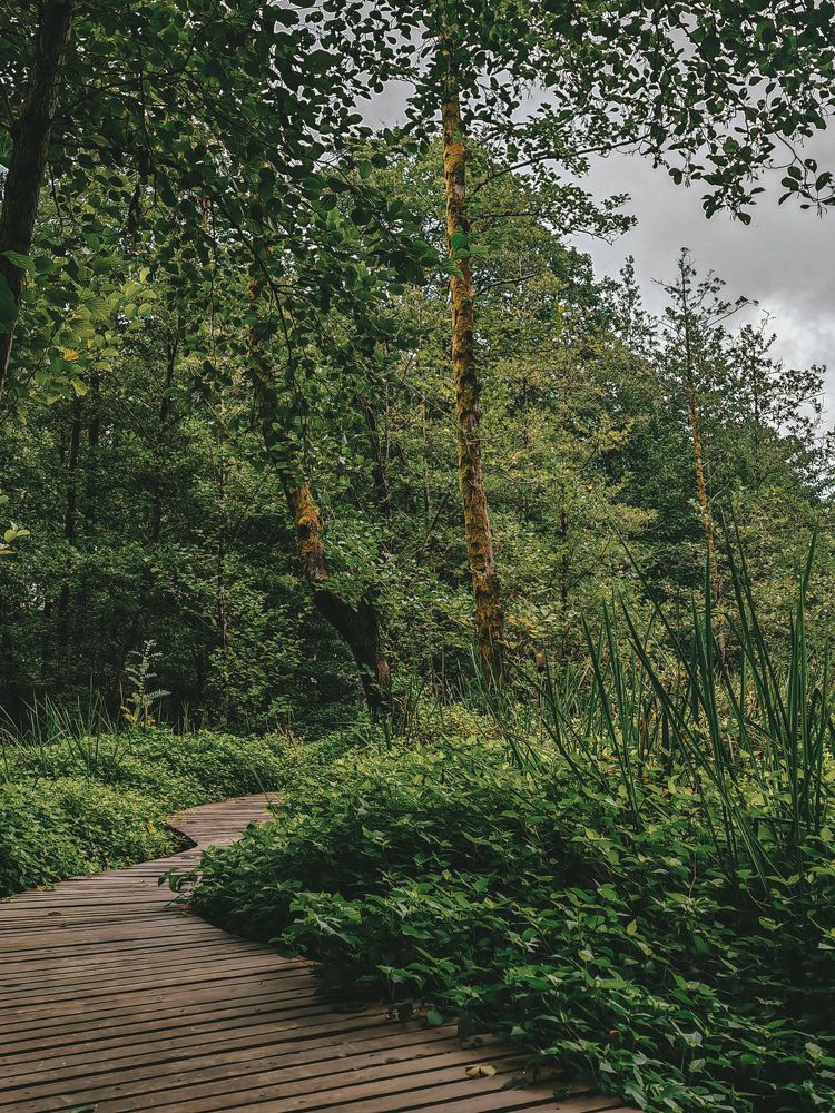 Photograph by Екатерина Савеня