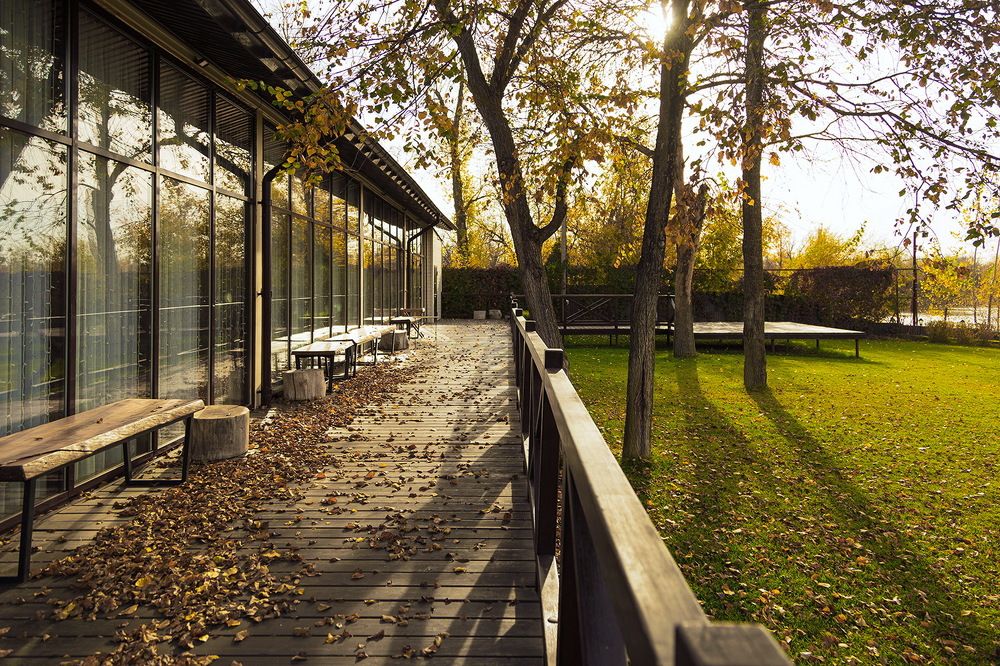 Photograph by Галина Чепиль