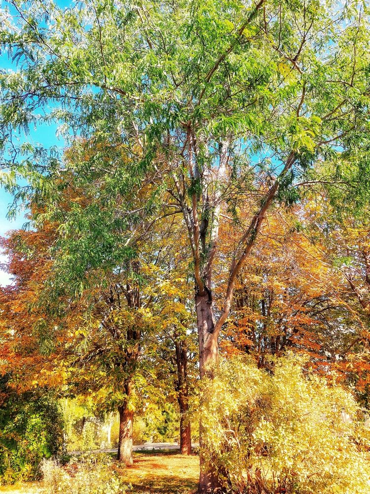 Photograph by Нина Паршина