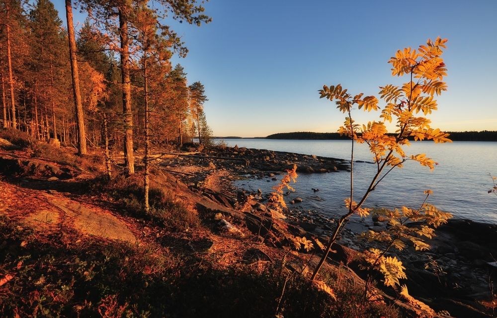 Photograph by Андрей Куликов