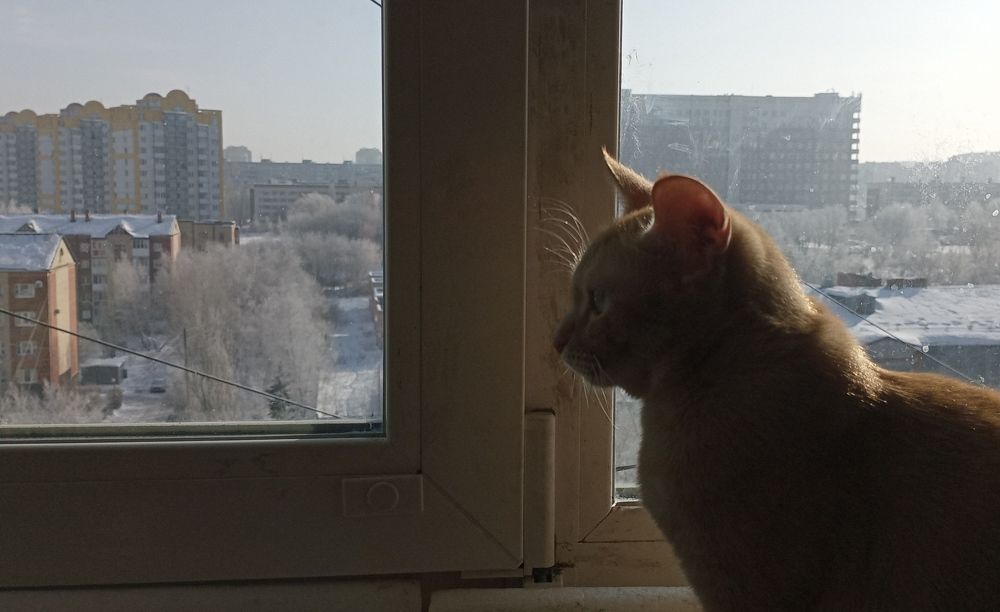 Photograph by Анастасия Кичигина