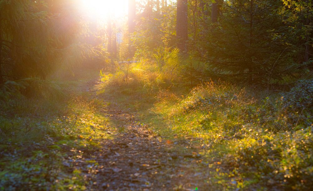 Photograph by Svetlana Porokhovnikova