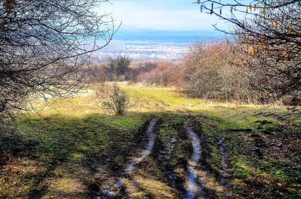 Фотография автора Ксения Смирнова
