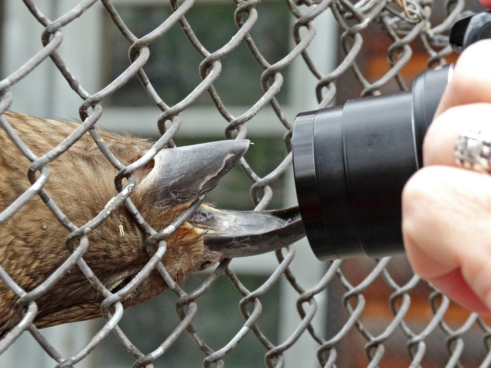 Photograph by Мила Милая