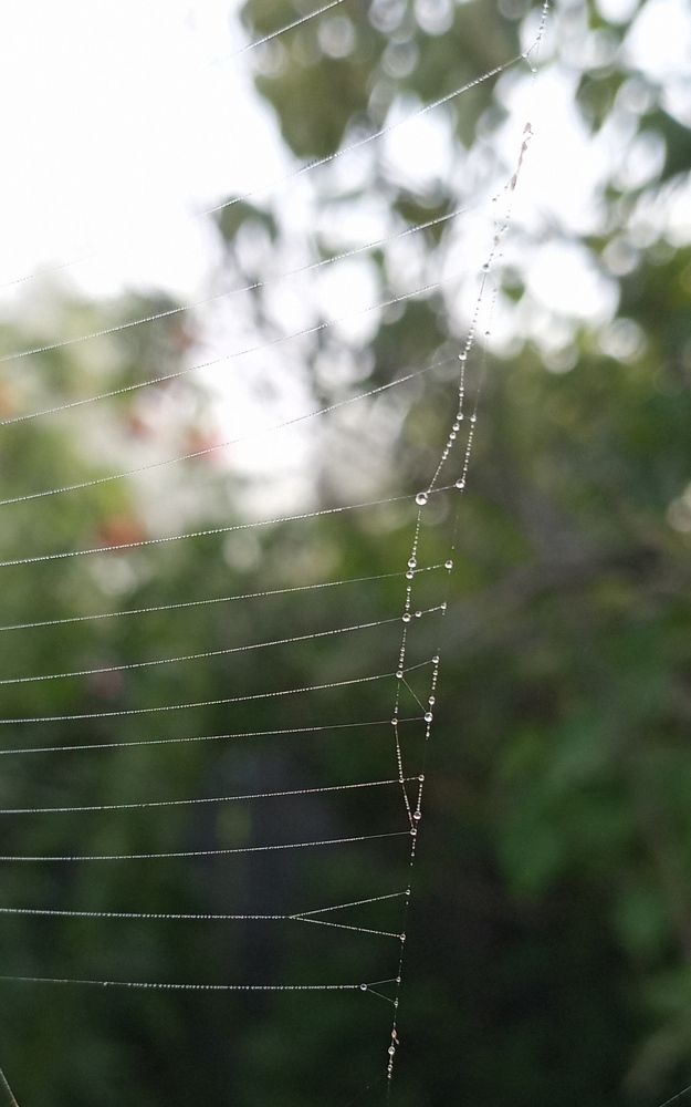 Photograph by Анастасия Кичигина