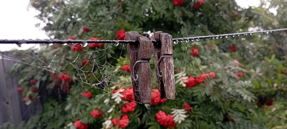 Photograph by Анастасия Кичигина