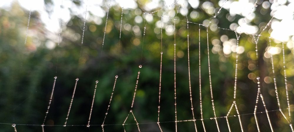 Photograph by Анастасия Кичигина