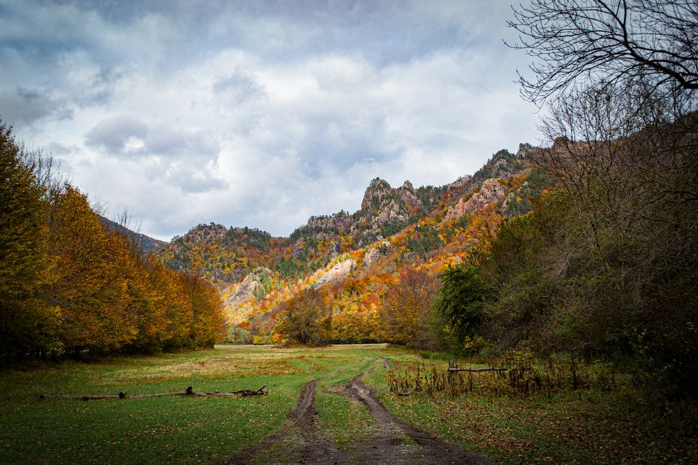 Фотография автора Олег Васильев