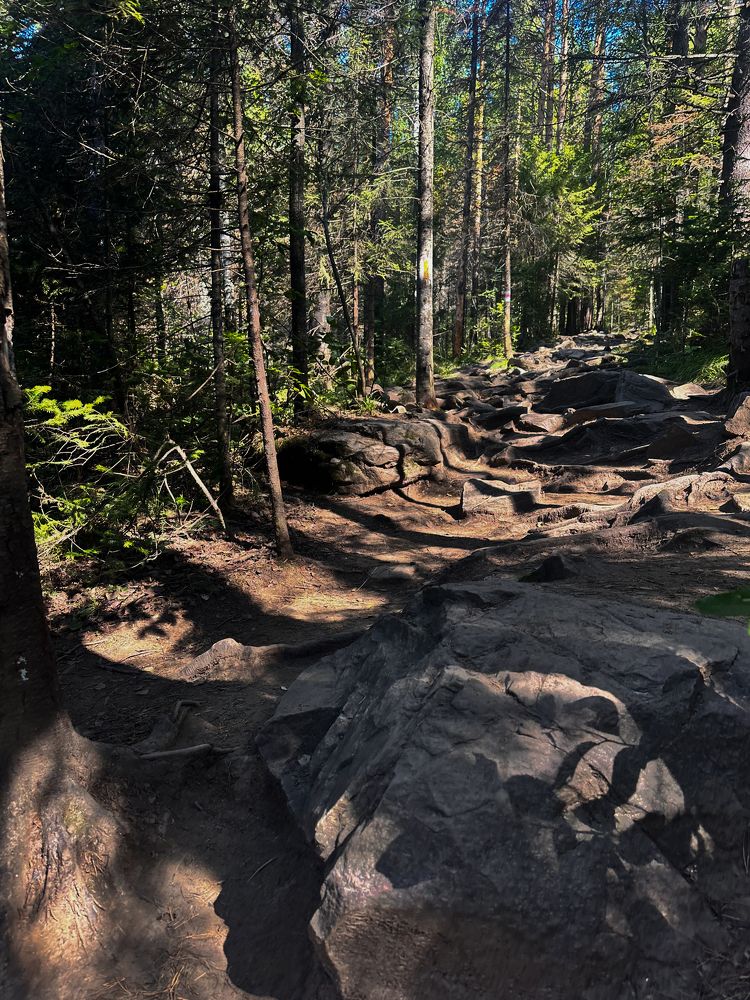 Photograph by Екатерина Целовальникова