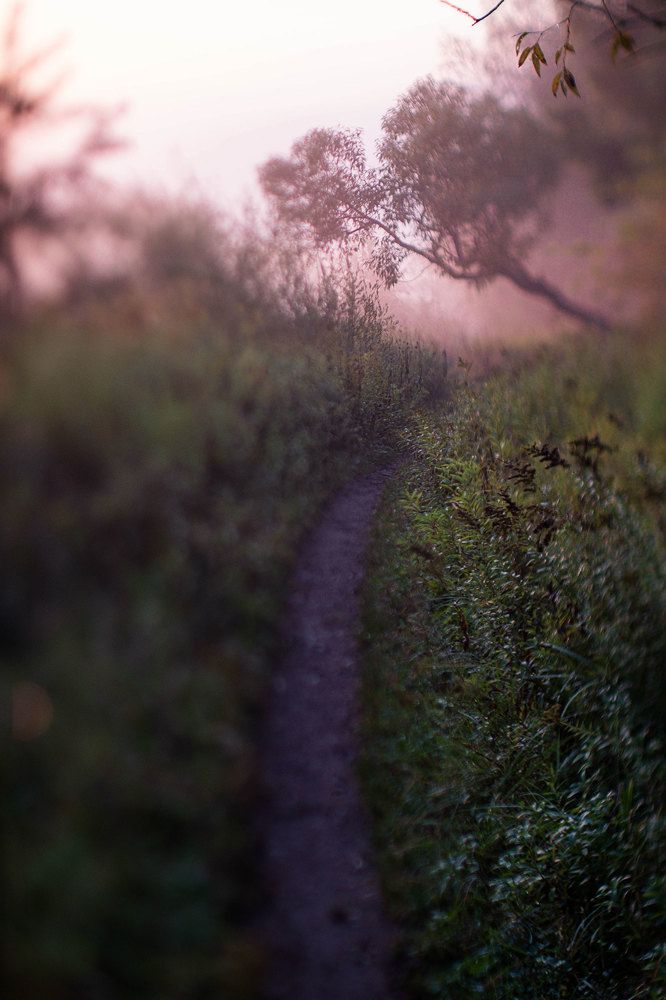 Photograph by Смоляк Максим Дмитриевич