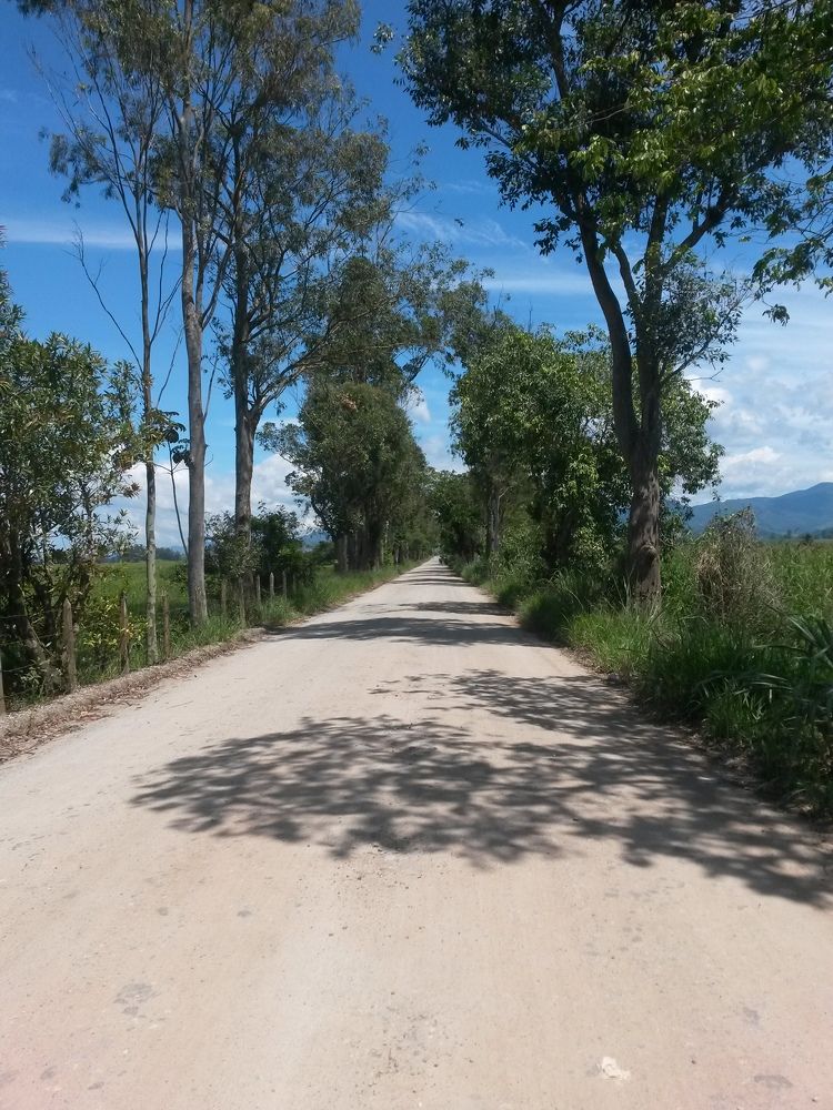 Photograph by Juliana