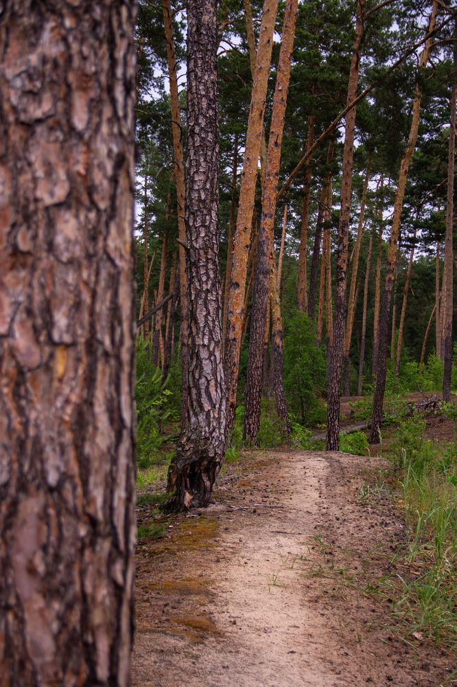 Photograph by Ирина Вепринцева