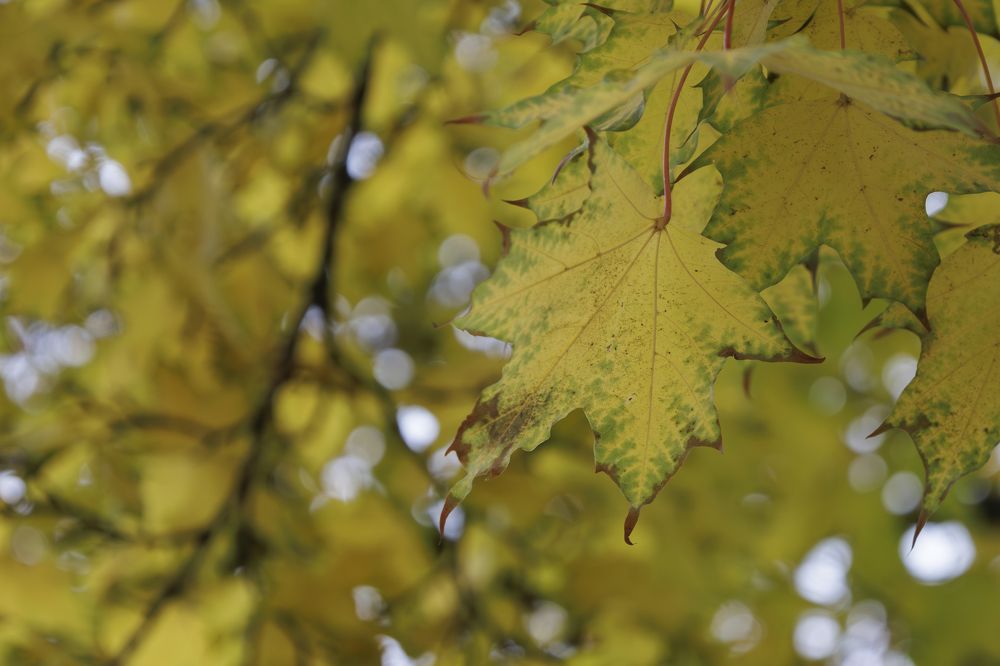 Photograph by Alexandr Seleznev