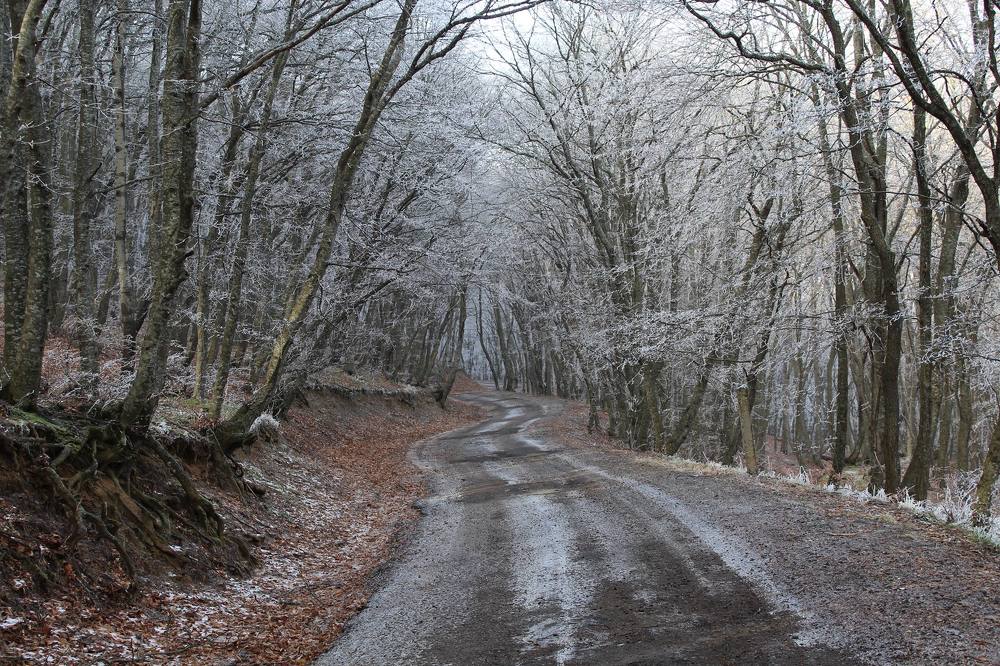 Фотография автора Mariami Sanishvili