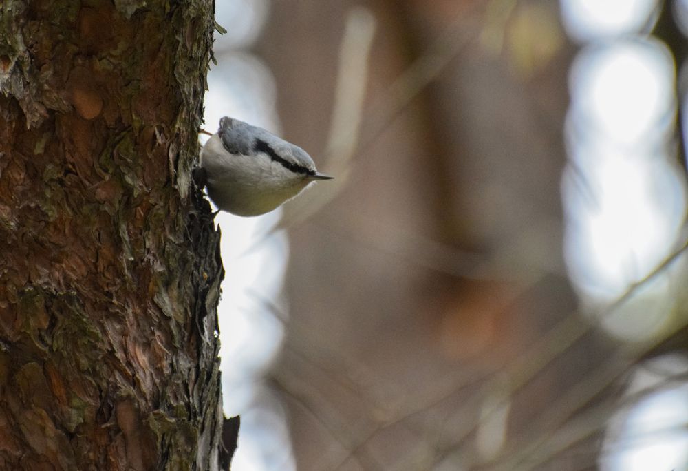 Photograph by Анастасия Белоусова