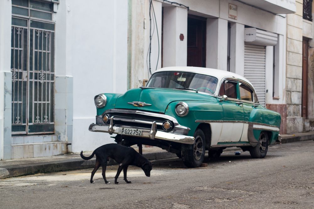 Photograph by Evelyn Carnot Montes