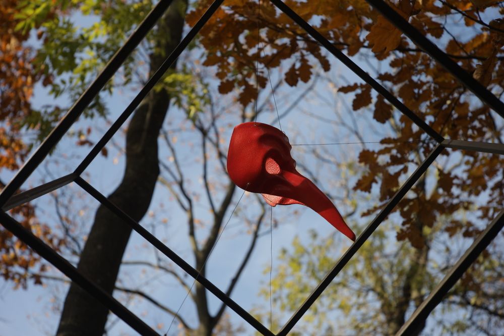 Photograph by Alexandr Seleznev