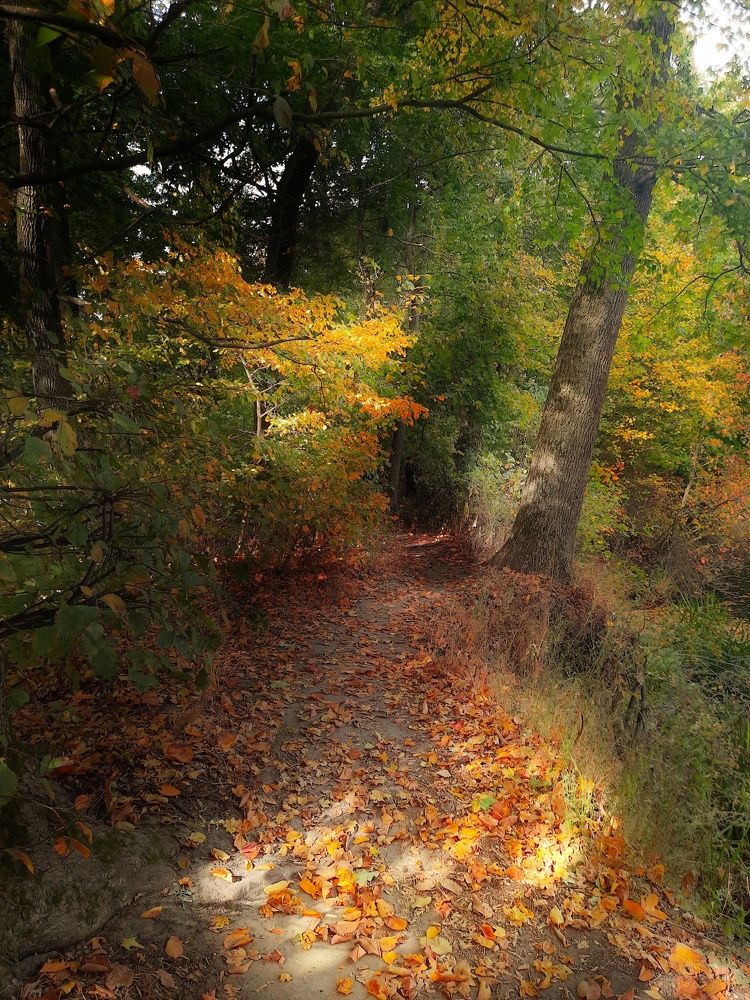 Фотография автора Irina Vornacheva