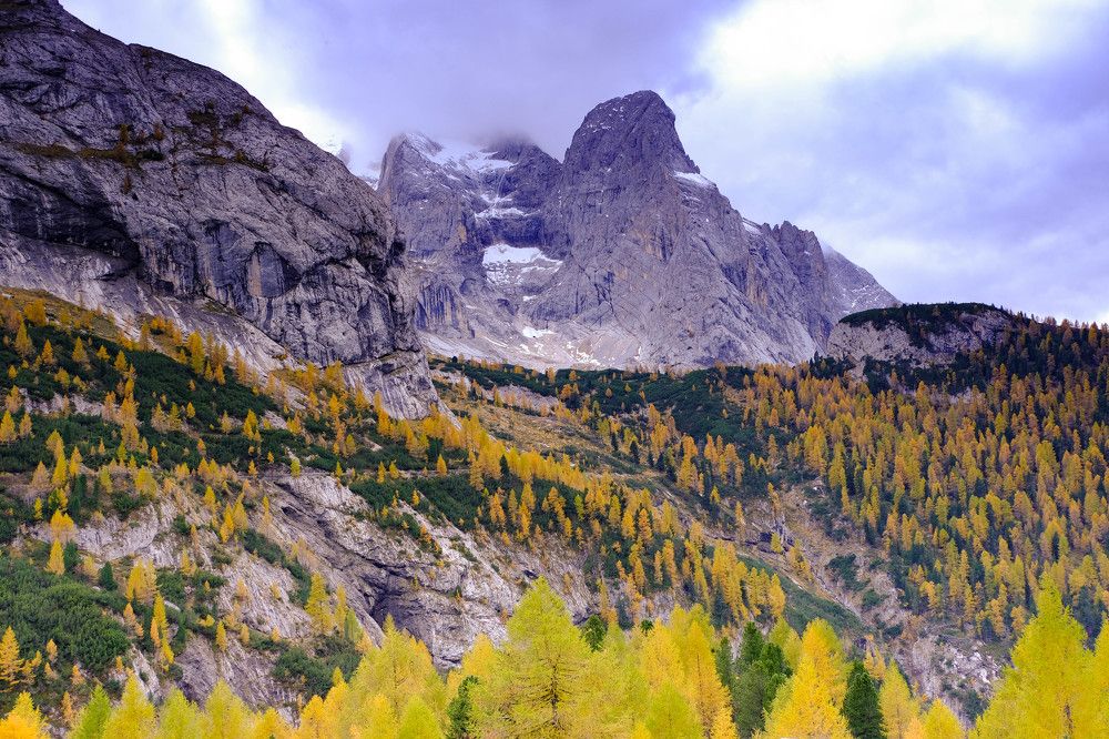 Фотография автора Dmitry