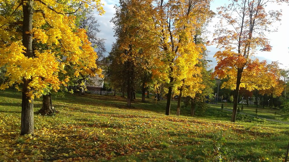 Photograph by Владимир Носов