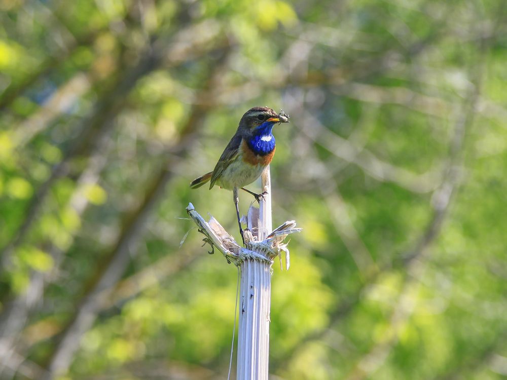 Photograph by Григорий Шишонков