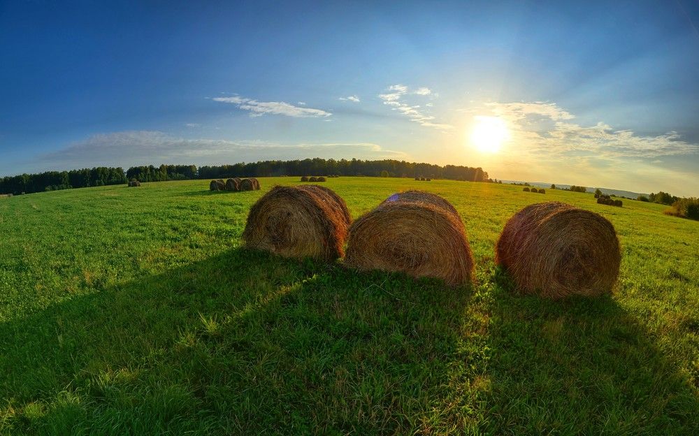 Сельский пейзаж в сентябре