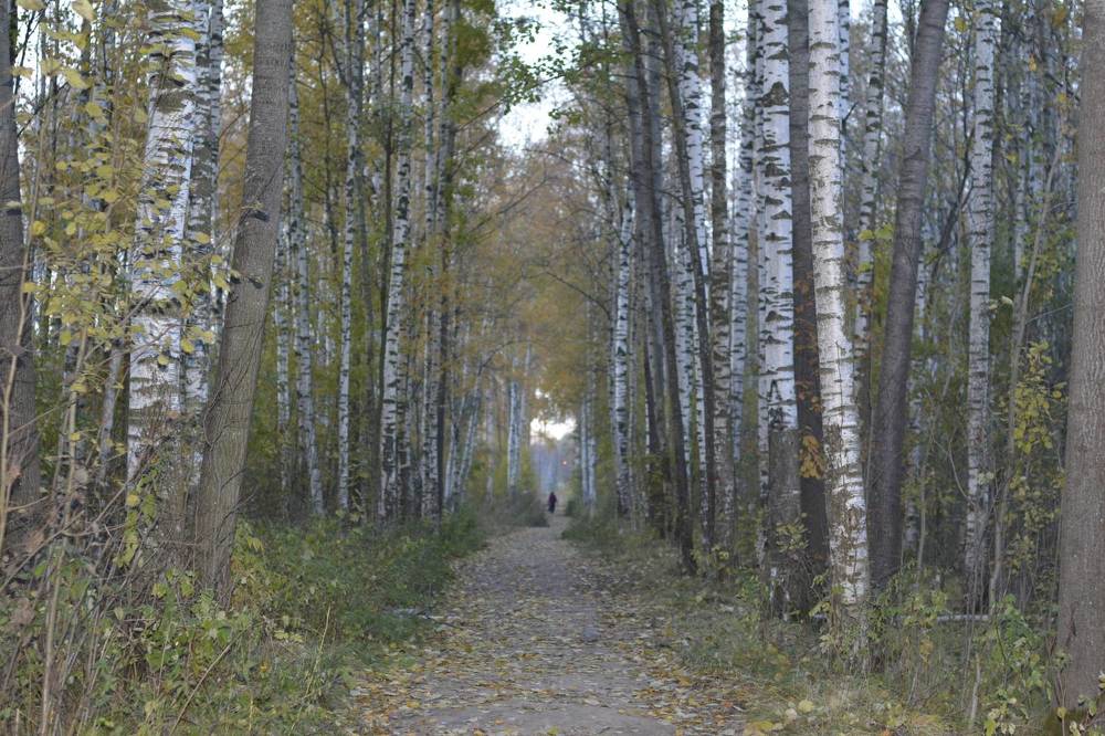 Photograph by Андрей