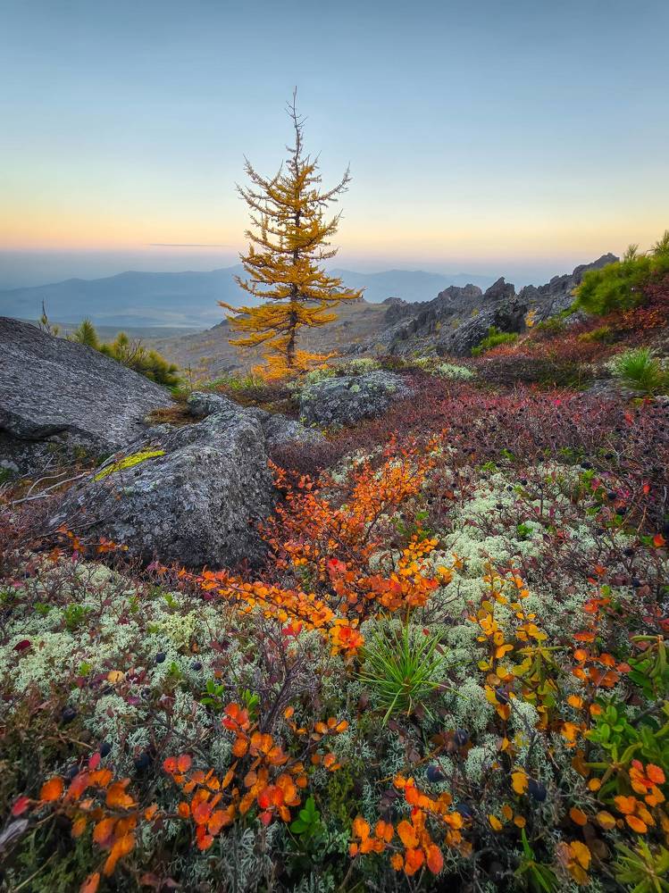 Photograph by Василий Яковлев