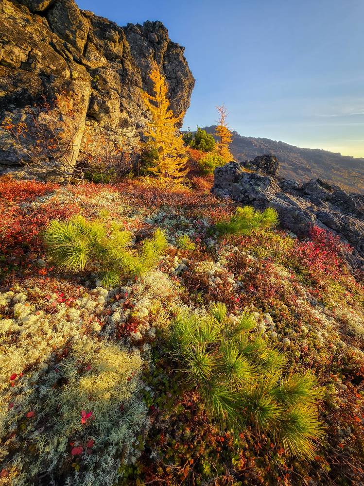 Photograph by Василий Яковлев