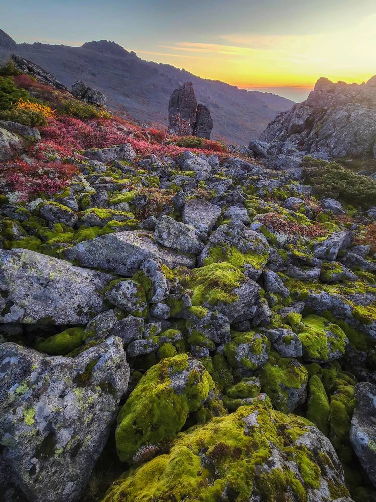 Photograph by Василий Яковлев