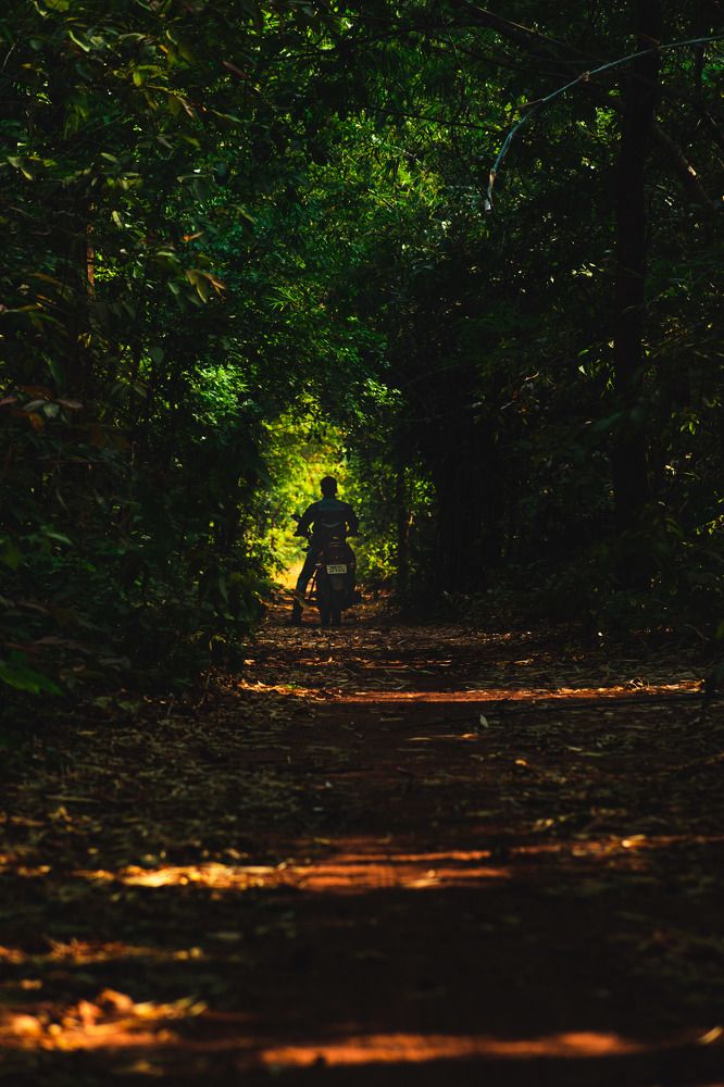 Фотография автора Arpit Dhore