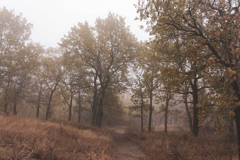 Photograph by юрий Запяткин