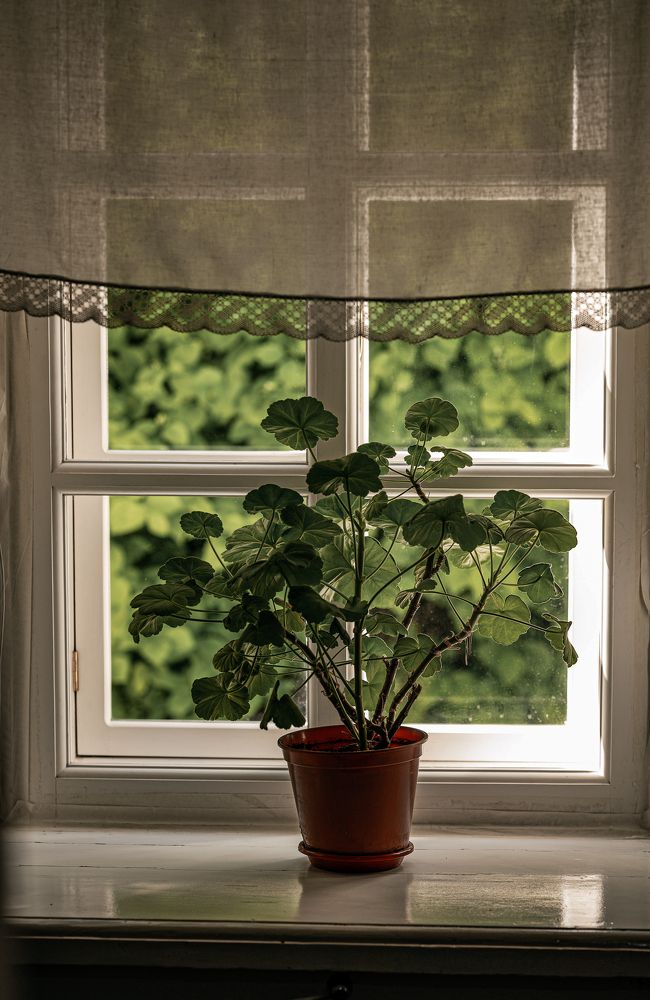 Photograph by Наталья Гришаева