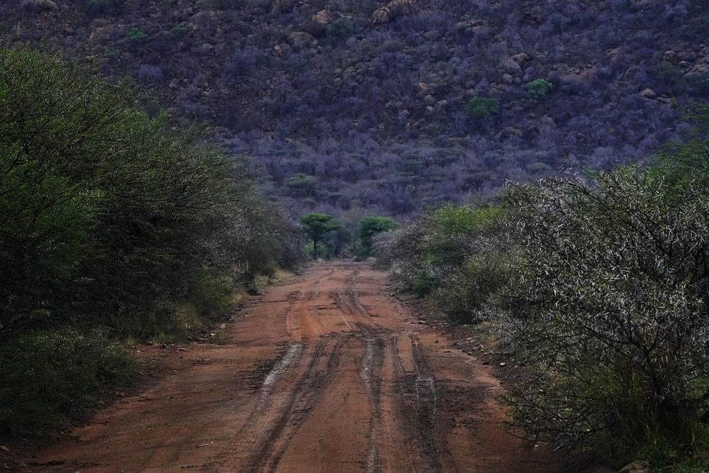 Photograph by Raed Victor Saad