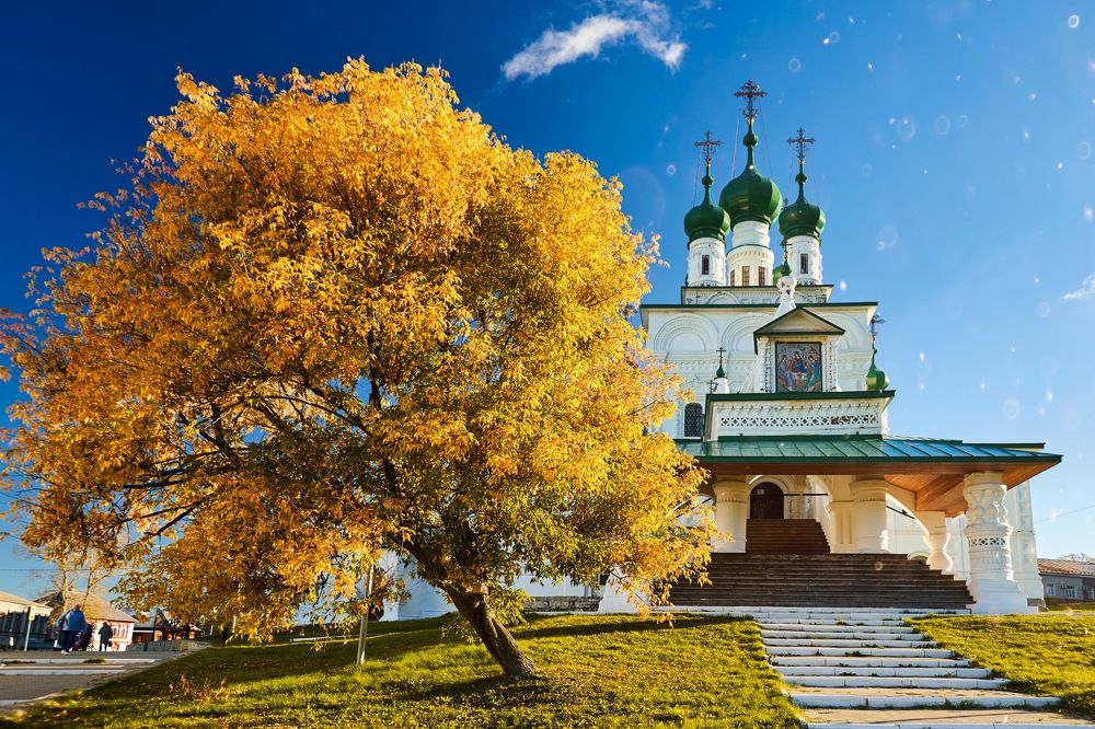 Фотография автора Alexey Bunakov