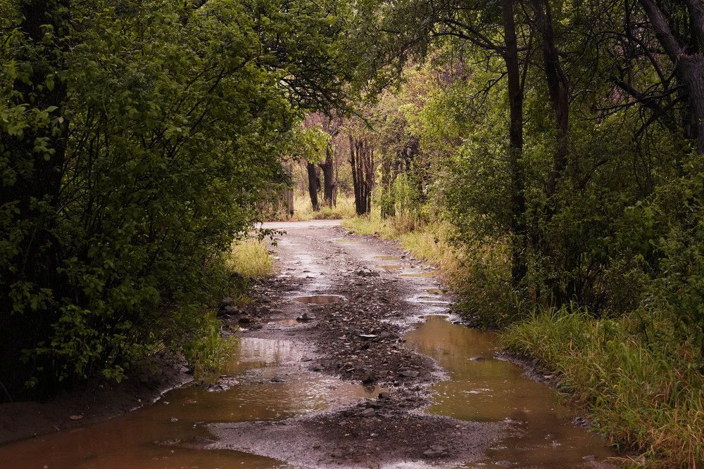 Photograph by Raed Victor Saad