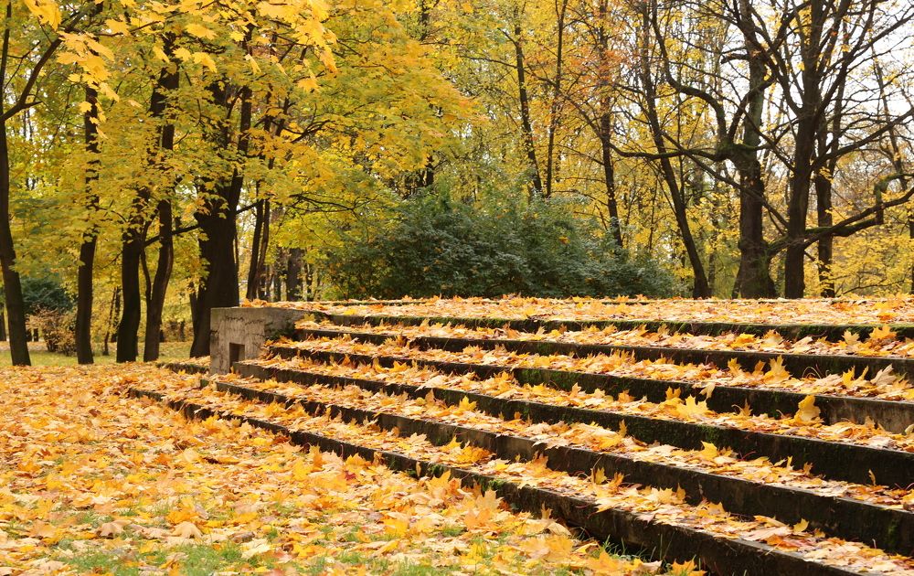 Photograph by Унку Юрий